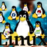 Various Types of Linux Operating Systems and Their Advantages