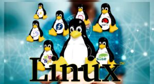 Various Types of Linux Operating Systems and Their Advantages